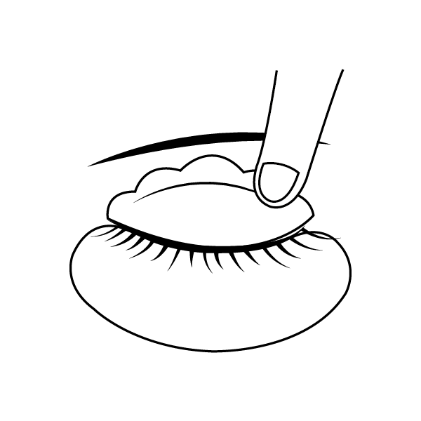 LIFTING RZĘS FALL IN THE VOLUME NOBLE LASHES LIFTING RZĘS FALL IN THE VOLUME NOBLE LASHES