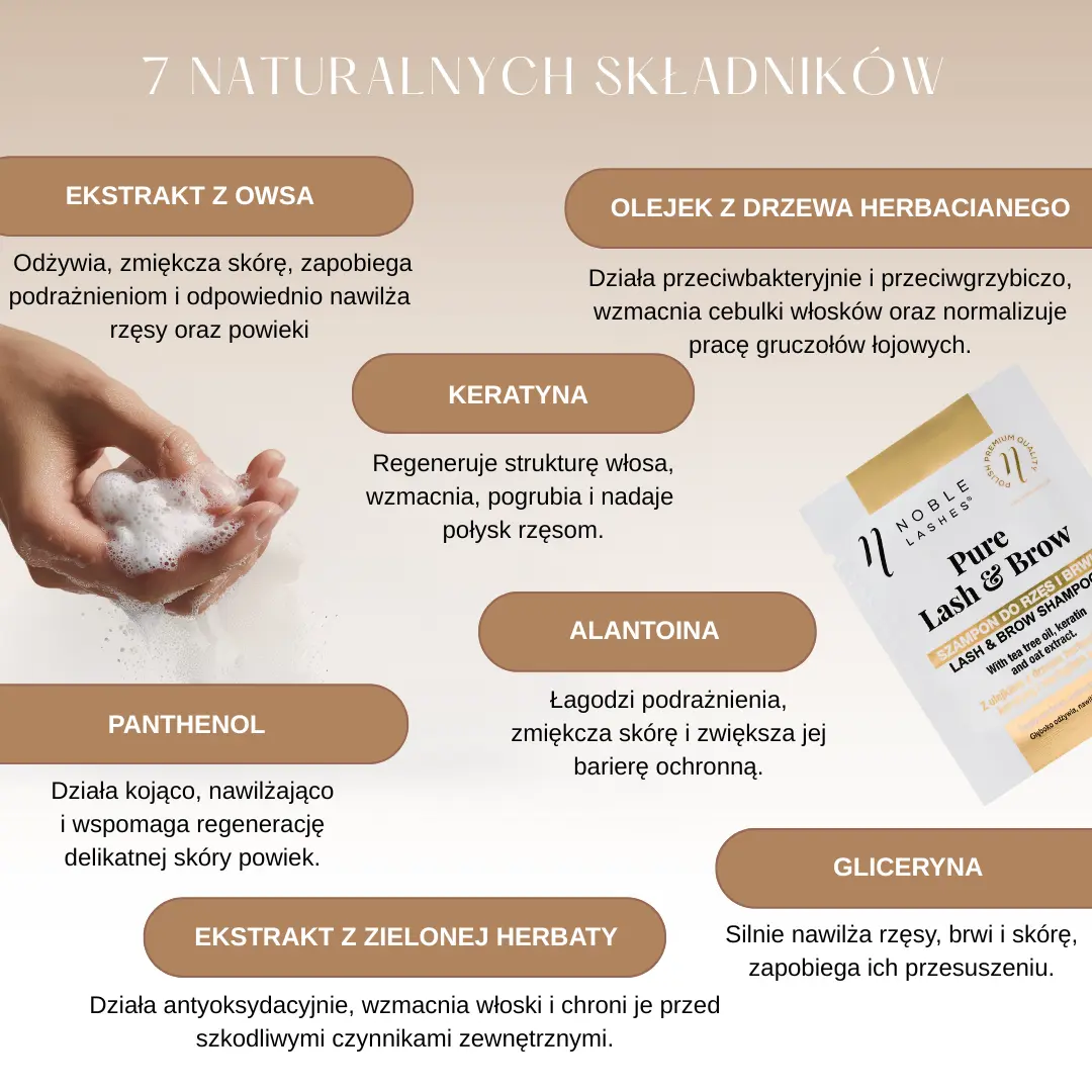 Lash&Brow Infografika Pure Lash&Brow