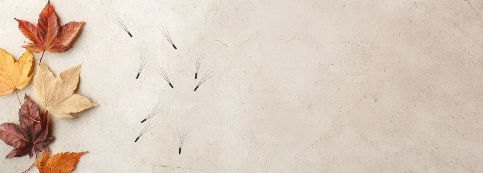 Dlaczego rzęsy wypadają? - Sezonowe wypadanie rzęs