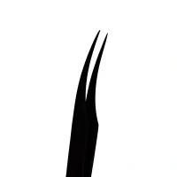 WING